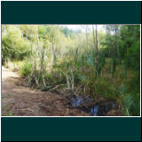 P1010005.jpg