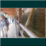 P1020179.jpg